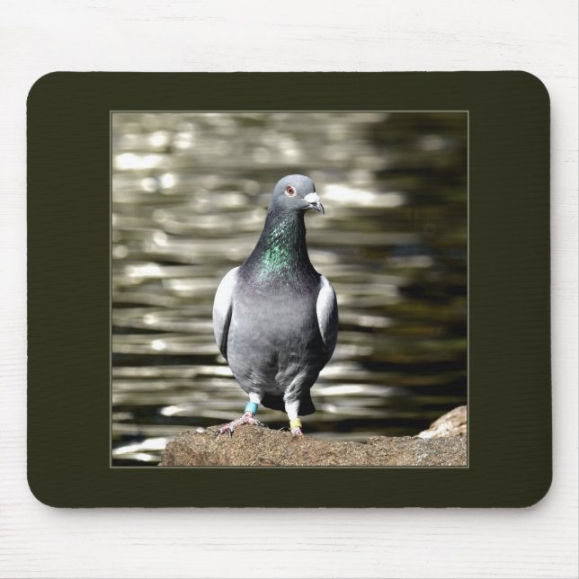 Mousepad Pombo (Frente)