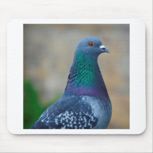 Mousepad Pombo
