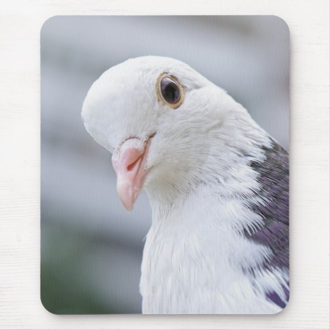 Mousepad Pombo (Frente)
