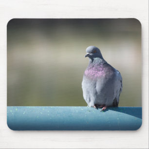 Mousepad Pombo
