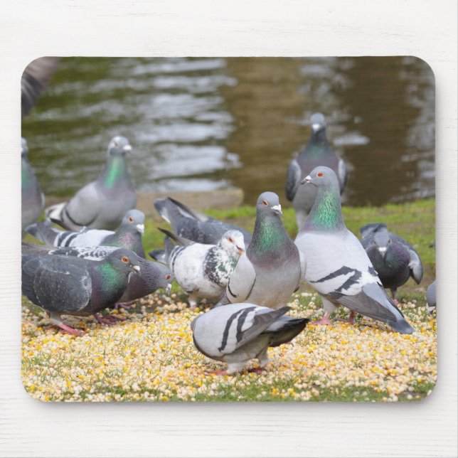 Mousepad pombos (Frente)