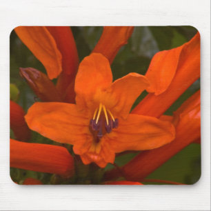 Mousepad Pomegranato Blooms