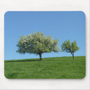 Mousepad pommiers