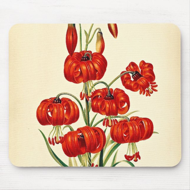 Mousepad Pompone Red Lily Vintage Botânica (Frente)