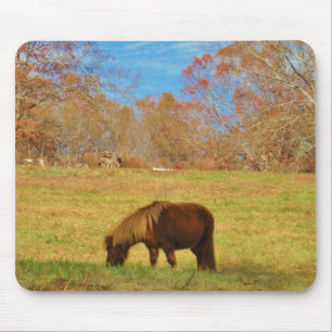 Mousepad Pônea miniatura castanha