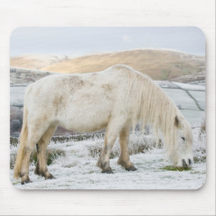 Mousepad Pônei Branco Fell em Moorland no Inverno