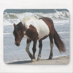 Mousepad Pônei da ilha de Assateague