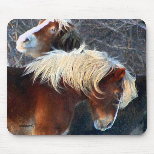 Mousepad pôneis (Frente)