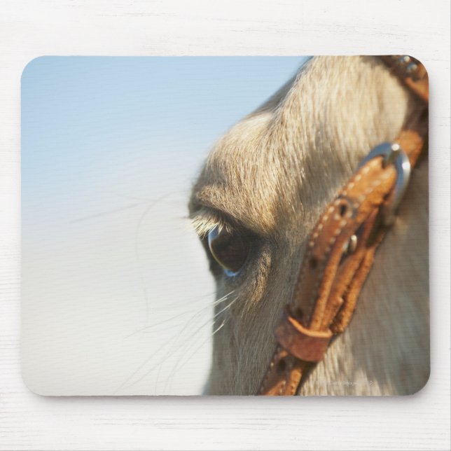Mousepad Ponte equina (Frente)