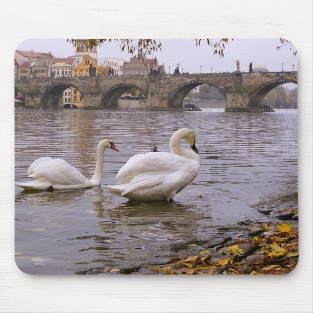 Mousepad Ponte Swans e Charles em Praga (Frente)