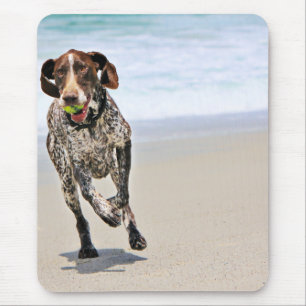 Mousepad Ponteiro de cabelos curtos alemão - Luke - Riley