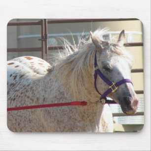 Mousepad Pony