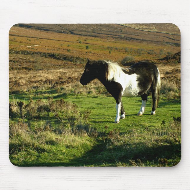 Mousepad Pony em Dartmoor (Frente)