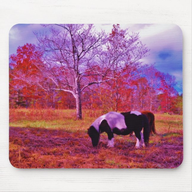 Mousepad PONY EM UM campo colorido RAINBOW (Frente)