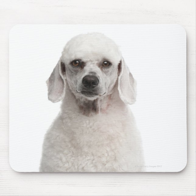 Mousepad Poodle (1 ano) (Frente)