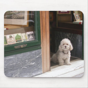 Mousepad Poodle Anão Branco