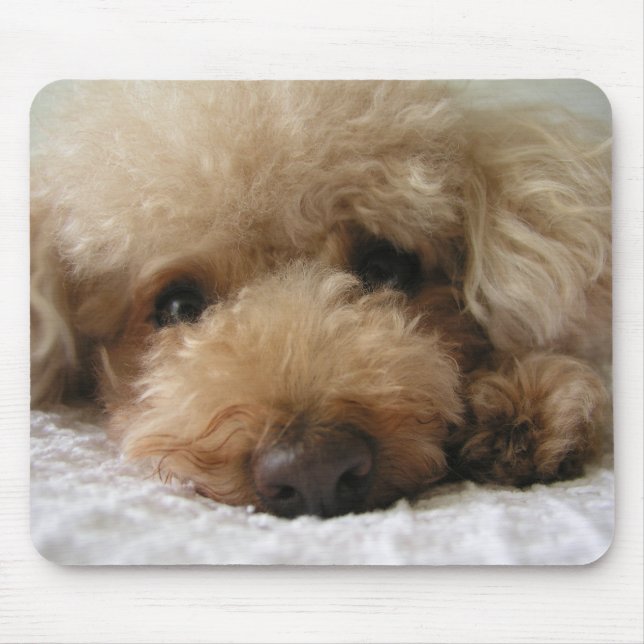 Mousepad Poodle de Cabeça Vermelha (Frente)