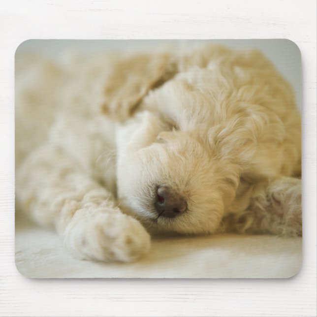 Mousepad Poodle Dormindo Cãozinho 2 (Frente)
