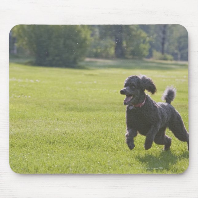 Mousepad Poodle tocando frisbee (Frente)