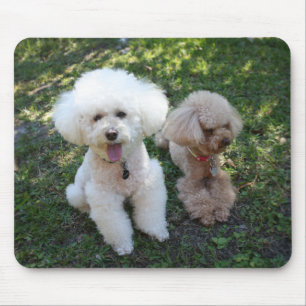 Mousepad Poodles