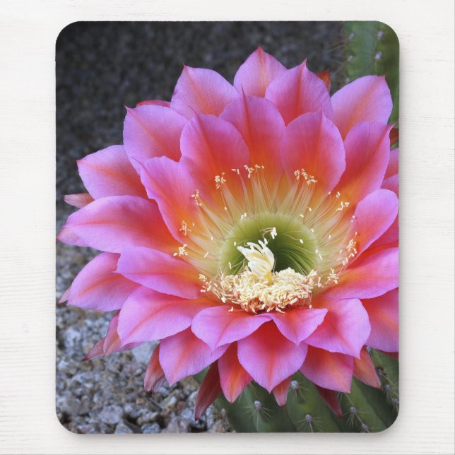 Mousepad Pop de rosa (Frente)