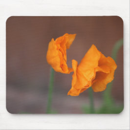 Mousepad Poppies