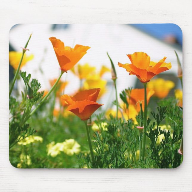 Mousepad Poppies da Califórnia (Frente)