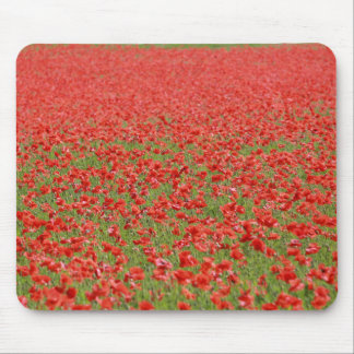 Mousepad Poppies - milhares!