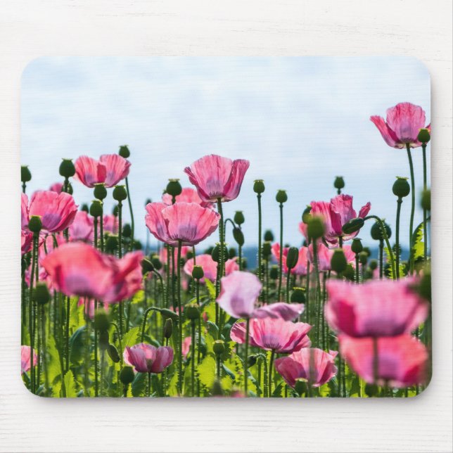 Mousepad Poppies Rosa (Frente)