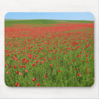 Mousepad Poppies vivos!