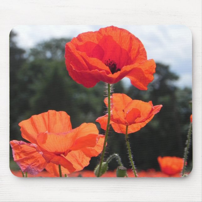 Mousepad Poppy Field, lindas flores. (Frente)