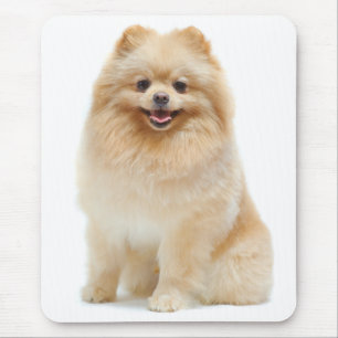 Mousepad Pôr-de-mousepad de Cão Pomerano