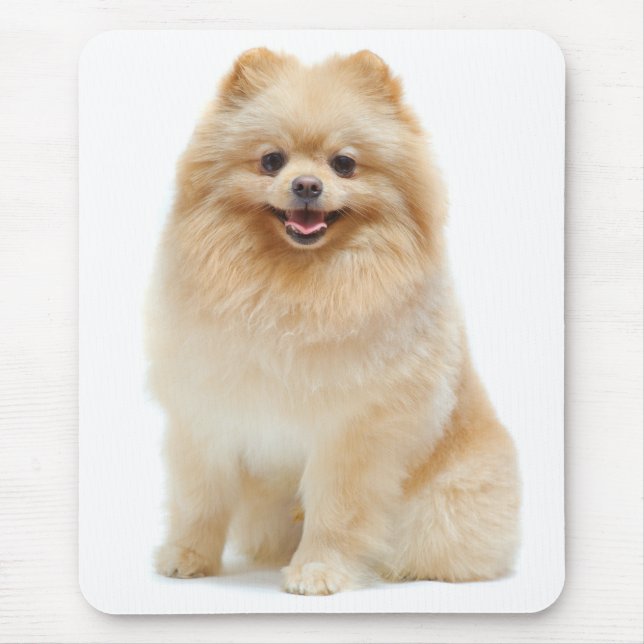 Mousepad Pôr-de-mousepad de Cão Pomerano (Frente)