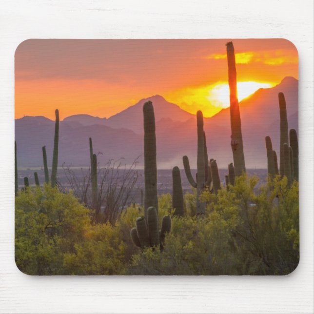 Mousepad pôr do sol do cacto do deserto, Arizona (Frente)