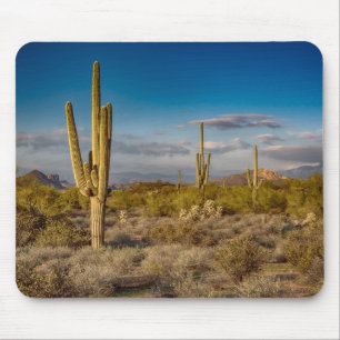 Mousepad Por do sol do cacto na arizona