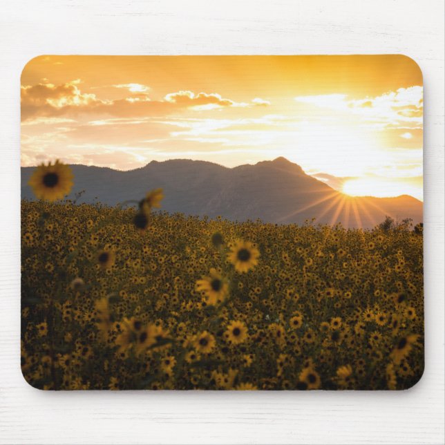 Mousepad Por do sol do girassol (Frente)