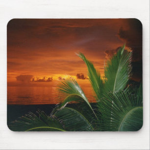 Mousepad Por do sol na ilha de Anna Maria