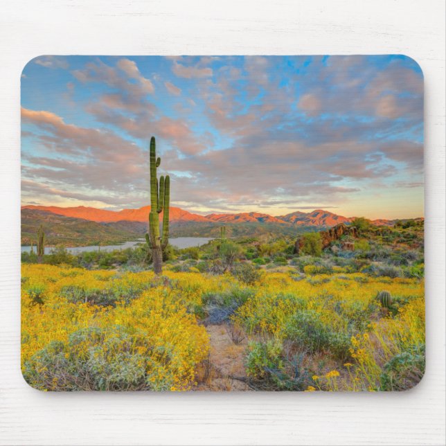 Mousepad Pôr do sol na paisagem desértica (Frente)