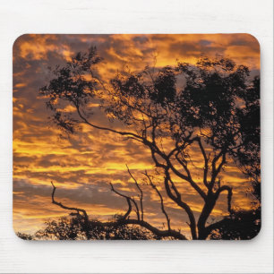 Mousepad Pôr do sol, Parque Nacional Uluru-Kata Tjuta,