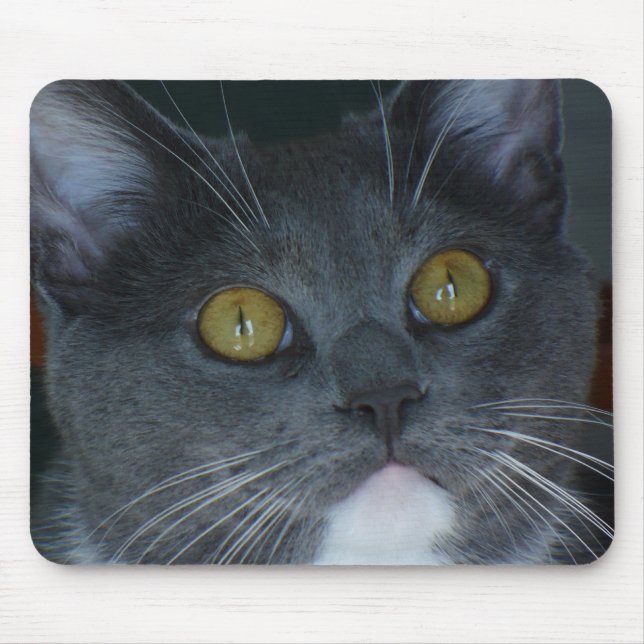 Mousepad Por favor (Frente)