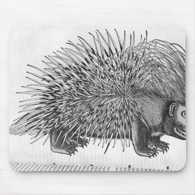 Mousepad Porco-, 'de Historia Animalium (Frente)