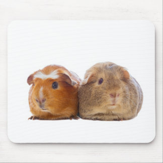 Mousepad Porco-guineal