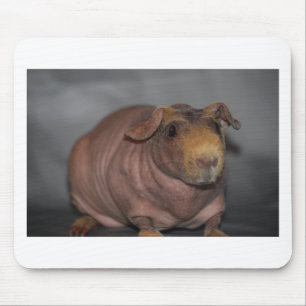 Mousepad Porco magro