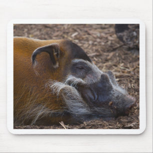Mousepad Porco vietnamiano