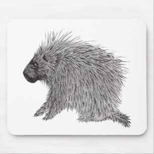 Mousepad Porcupine