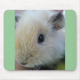 Mousepad Porquinho-da-índia Branco Com Bordas Verdes Bonita