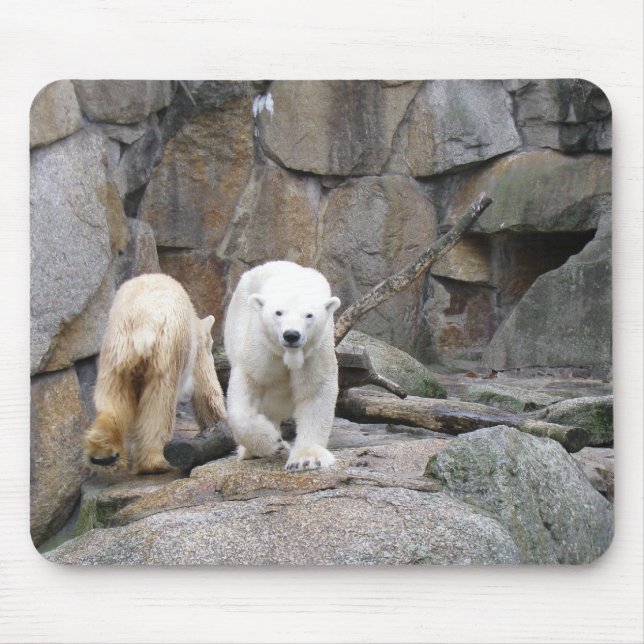 Mousepad Porta-bocal POLAR (Frente)