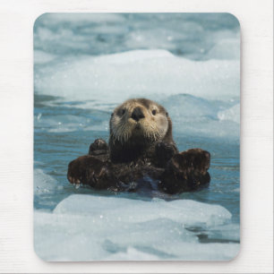 Mousepad Porta flutuante