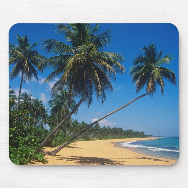 Mousepad Porto Rico, Ilha Verde, palmeiras. (Frente)