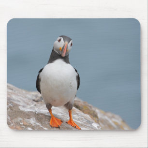 Mousepad Pose do papagaio-do-mar